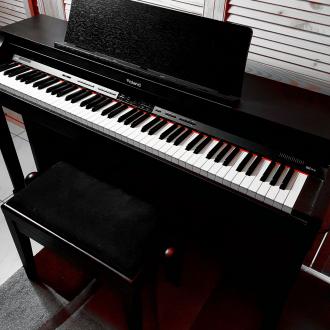 Ändy Warga | Proberaum | Roland HP305 Digital Piano